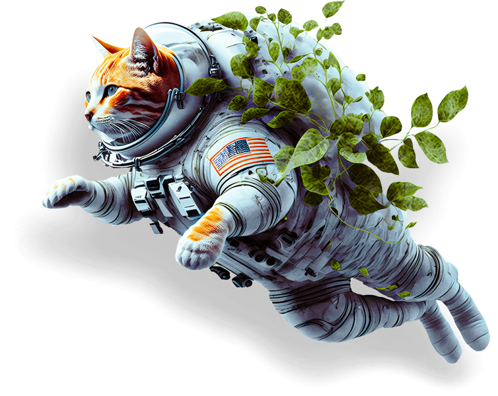 Gato Astronauta - On Target - Criação de Sites